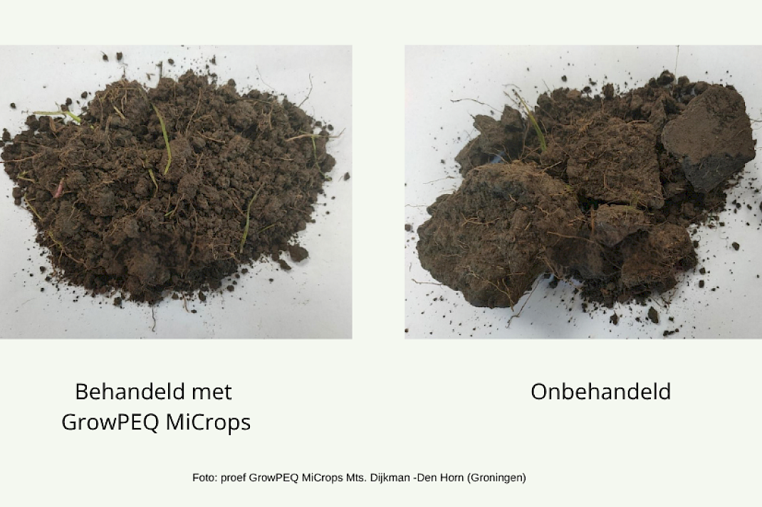 GrowPEQ MiCrops behandelde bodem is veel losser van structuur.