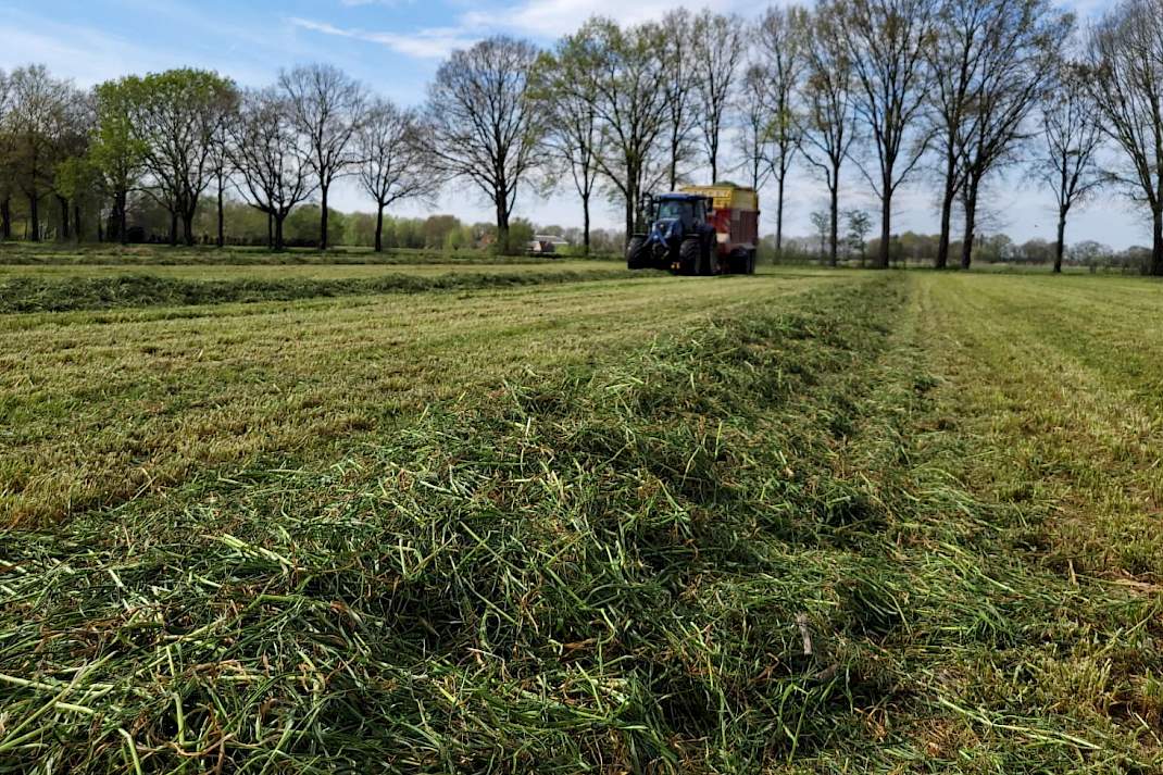 Gras in het zwad met op de achtergrond de opraapwagen