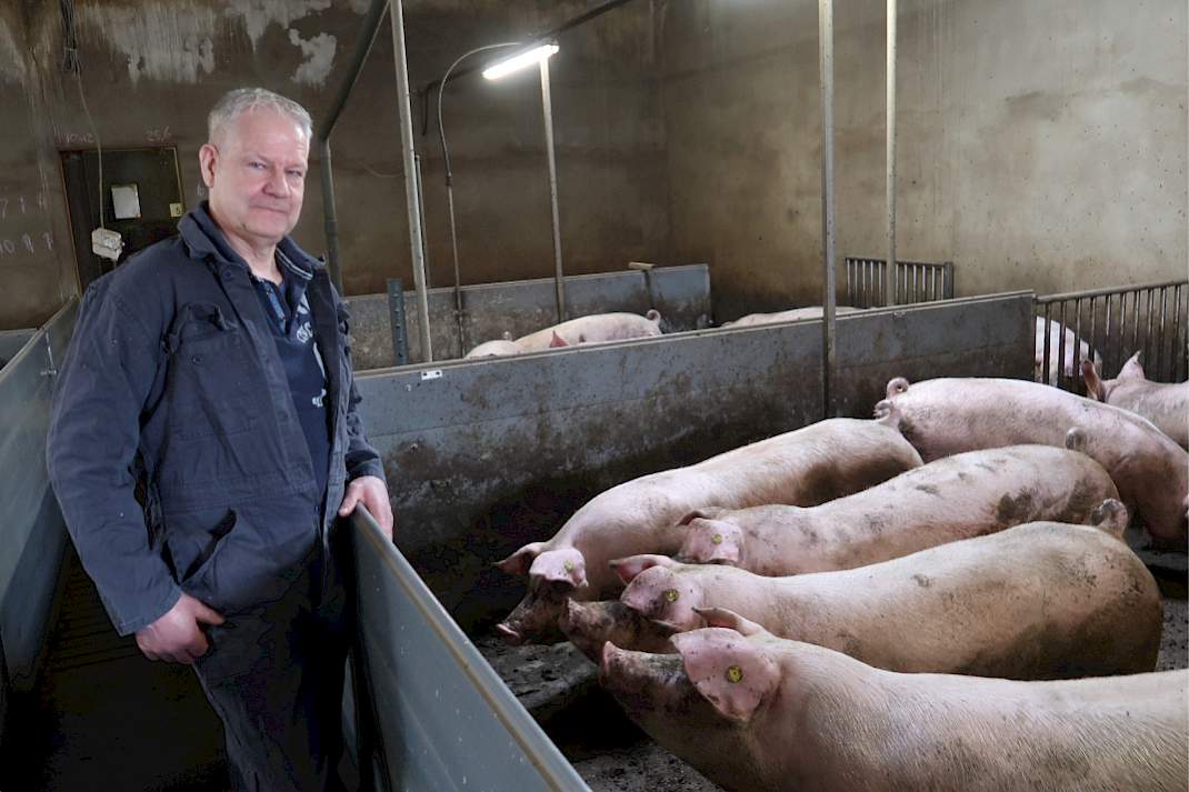 Varkenshouder Johan van Kessel in de vleesvarkensstal