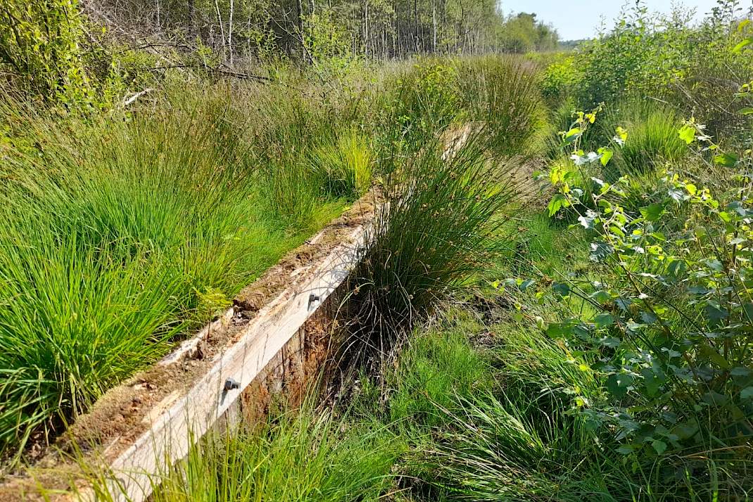 Houten damwand in veengebied.