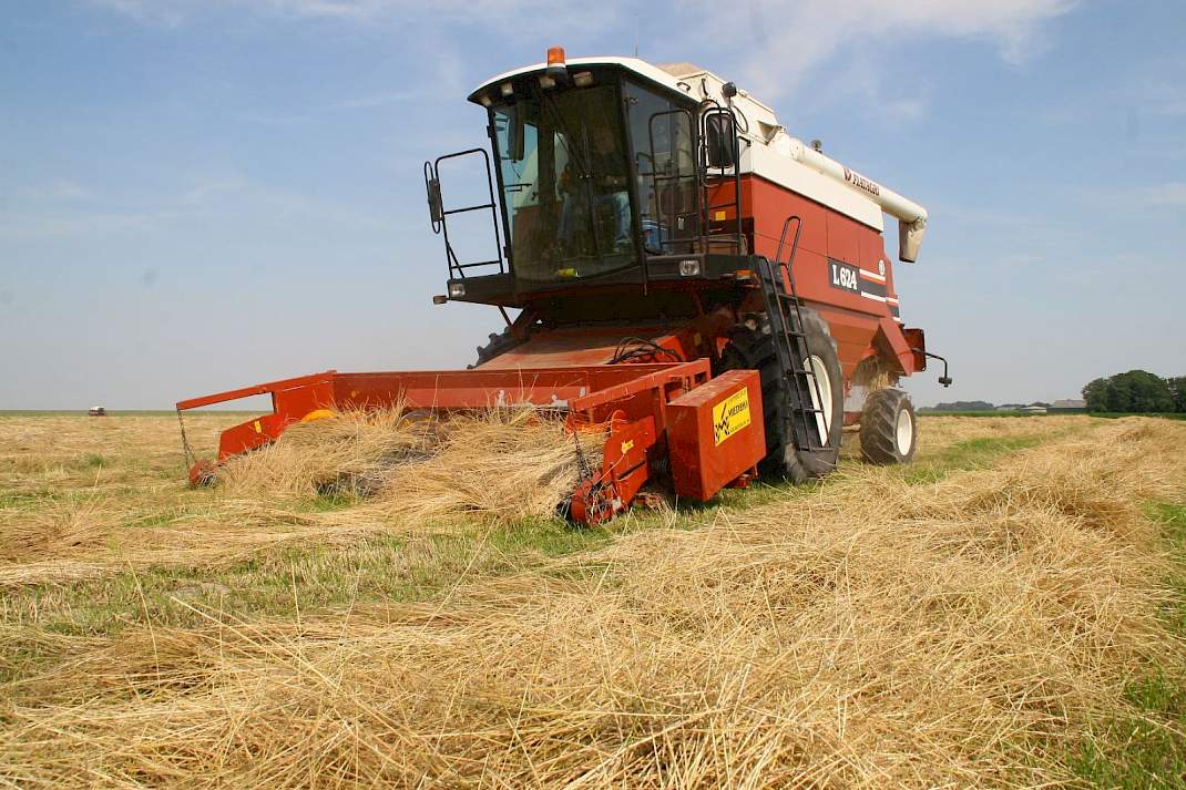 Graszaad dorsen.