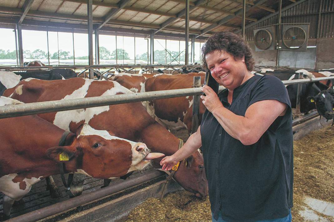 Marian van Thiel-Derks aan het bellen voor haar werk als arbeidsbemiddelaar. De plek waar ze dat graag doet: thuis op het erf tussen de koeien.