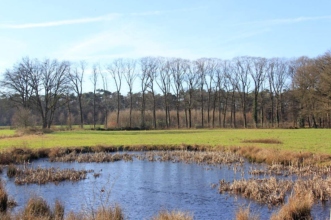 Niet alle water zal in 2027 voldoen aan de KRW-doelstellingen