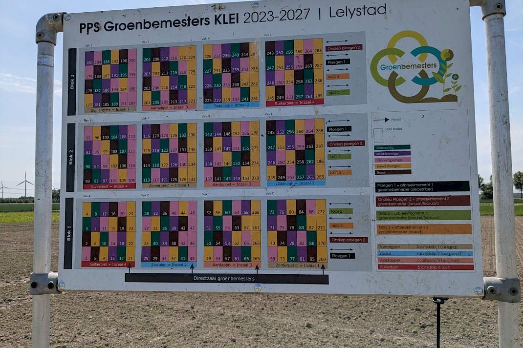 Bord van de proefopzet met groenbemesters in Lelystad.