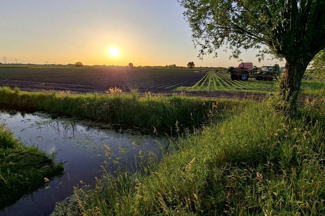 Sloot naast landbouwpercelen.