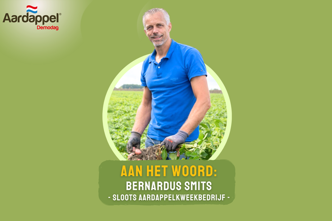 Aardappeldemodag