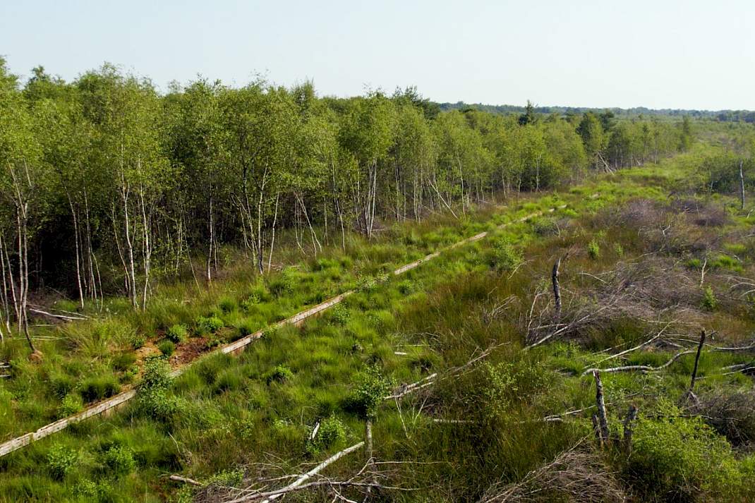 Natura 2000-gebied Vragenderveen