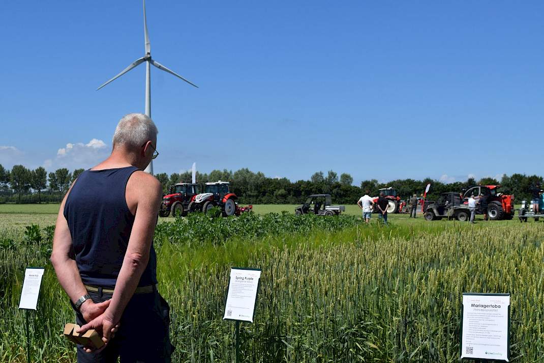 Een bezoeker bekijkt proefvelden tijdens BioVelddag in Lelystad