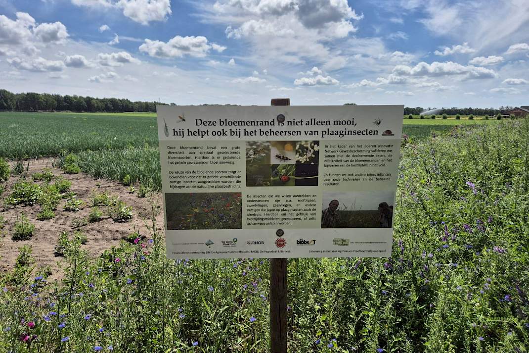 Bord met uitleg over het project aan de rand van het uienperceel