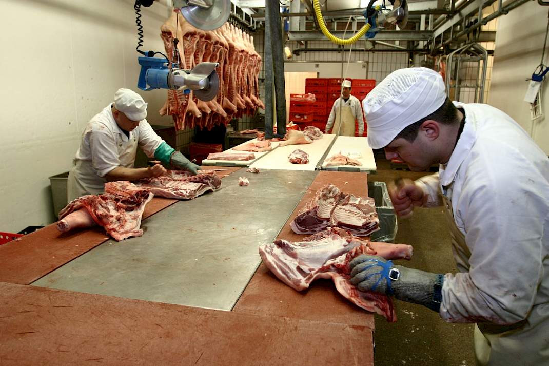 Vleesverwerkers in een slachthuis