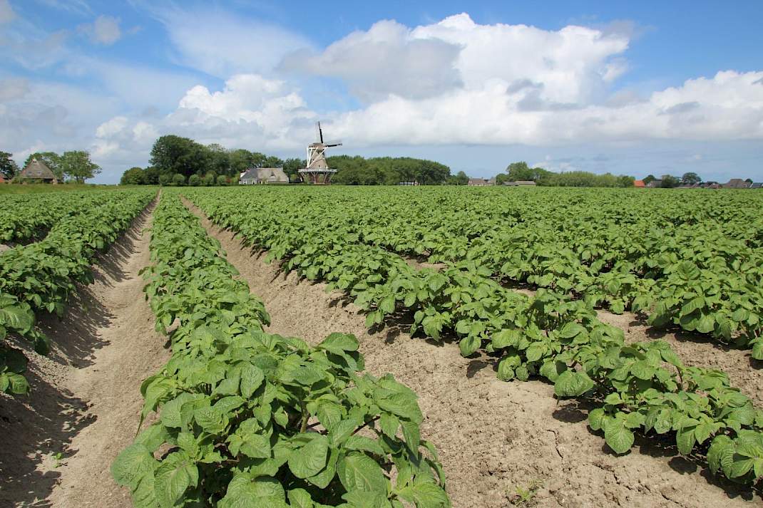 Rust, meer zekerheid en een robuuste ziektebeheersing