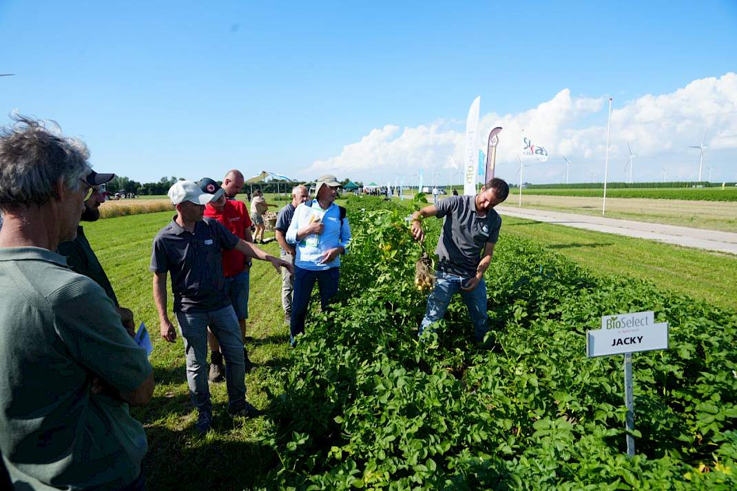 Robuust aardappelras tijdens Biovelddag Lelystad