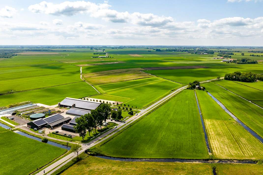 Veenweidegebied in Friesland.