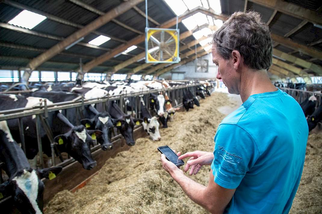 Corn&eacute; van Oosterhout op melkveebedrijf in Wagenberg