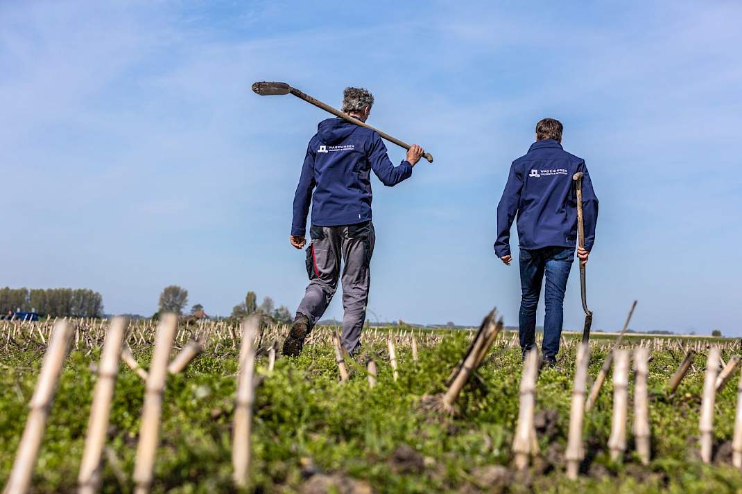 Twee boeren met schep in de hand
