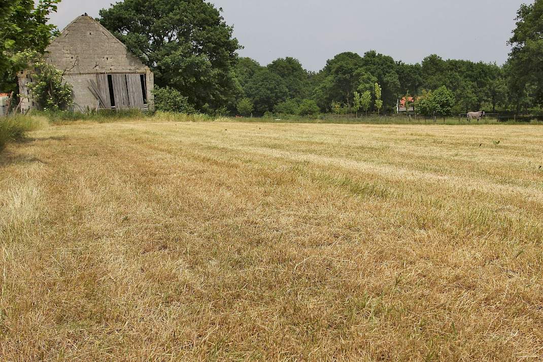 Door de aanhoudende droogte inventariseert het ingestelde crisisteam verdere maatregelen