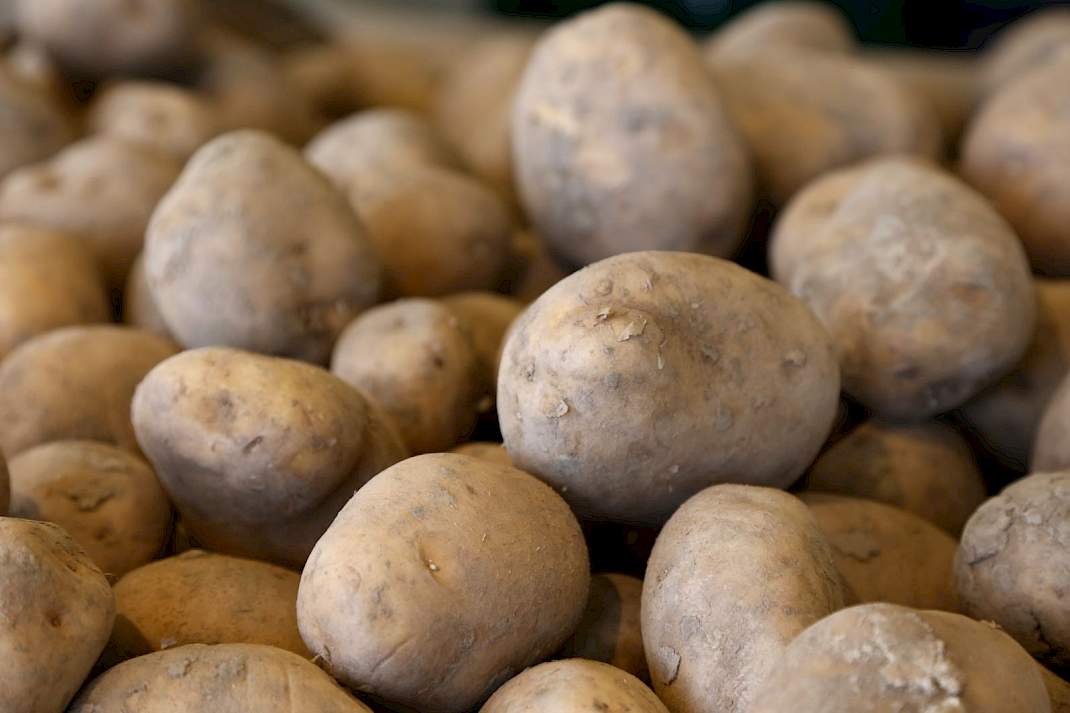 Aardappelen in bewaring