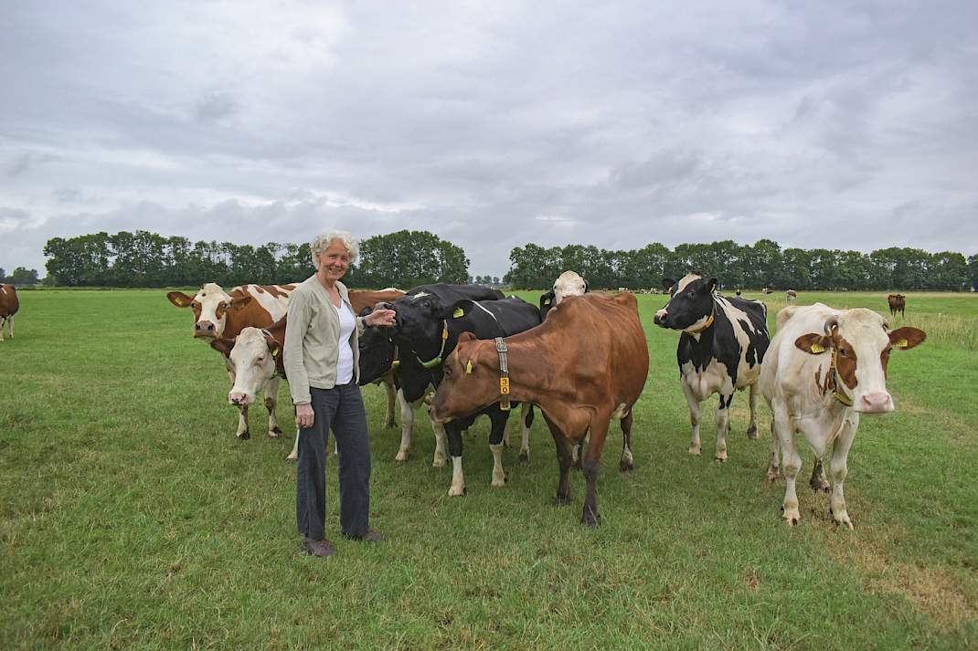 Carin Vijfhuizen tussen de koeien