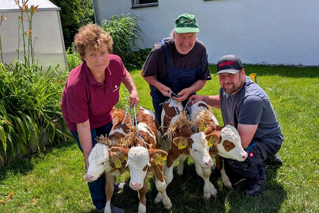 Familie Hohenester met de vier stierkalveren.