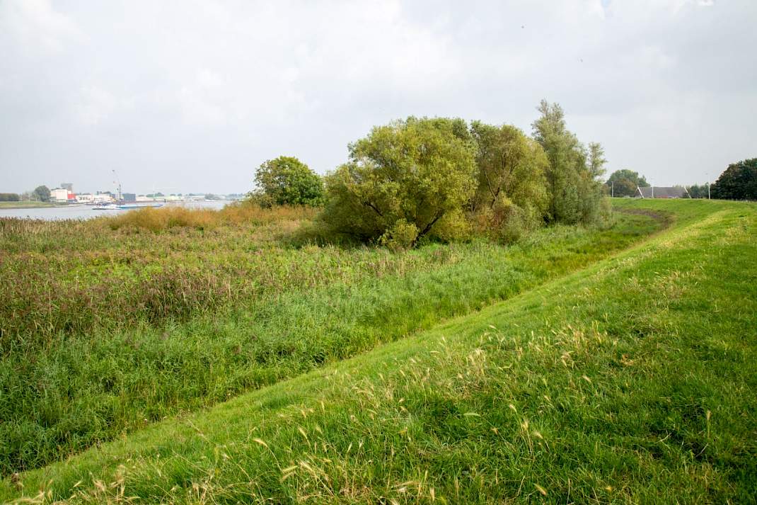Een dijk in Streefkerk (ZH).