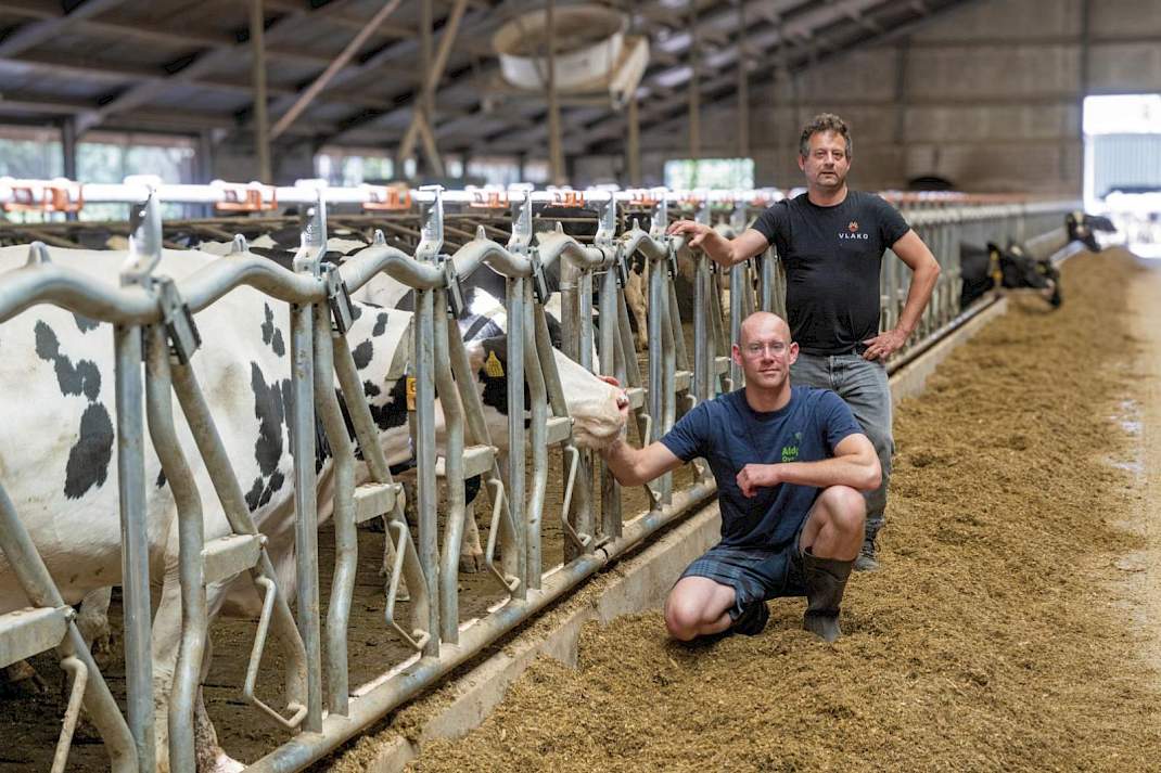 Willem Beekmans (voorgrond), die het melkveebedrijf Alders runt, en compagnon Tim Alders in de ligboxenstal. Volgens Willem heeft toepassing van renure een positief effect op het ureumgetal.