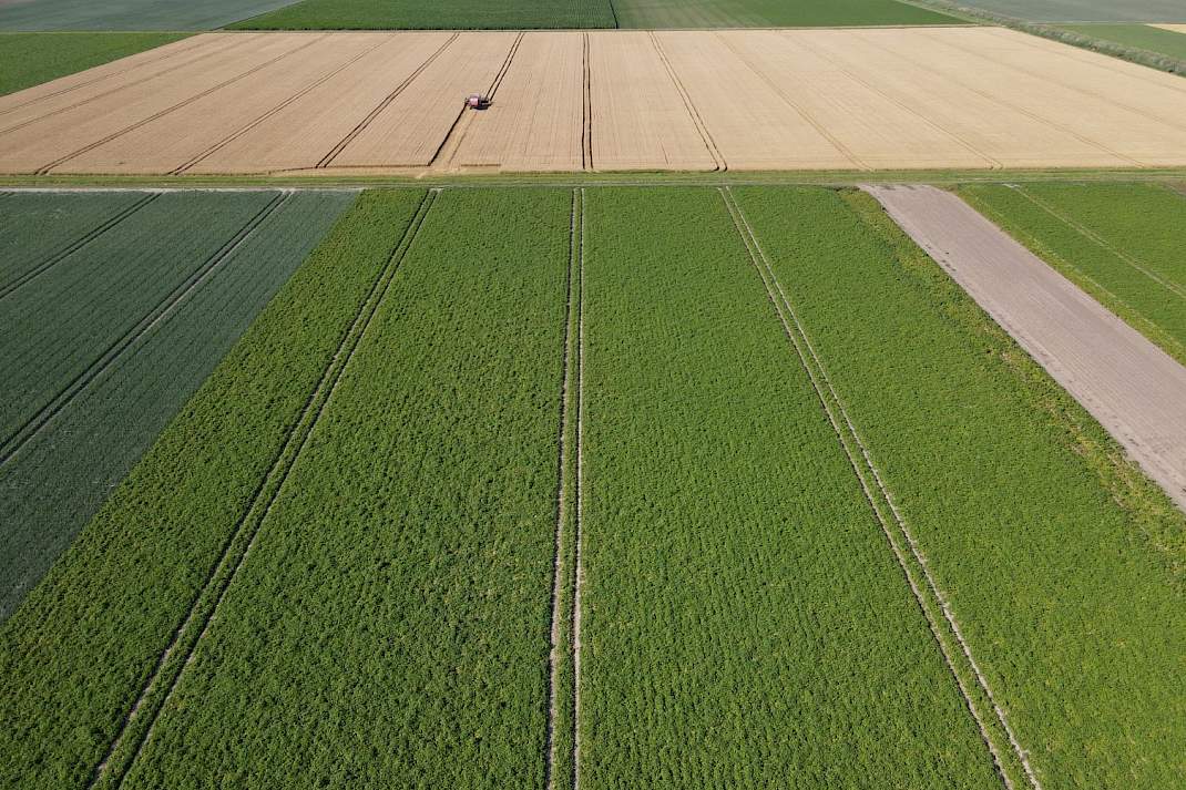 Dronefoto Aardappels & Graan Dronten Stimuter 2026