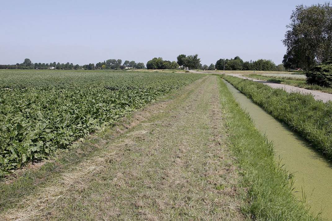 Akkerbouwperceel en oppervlaktewater