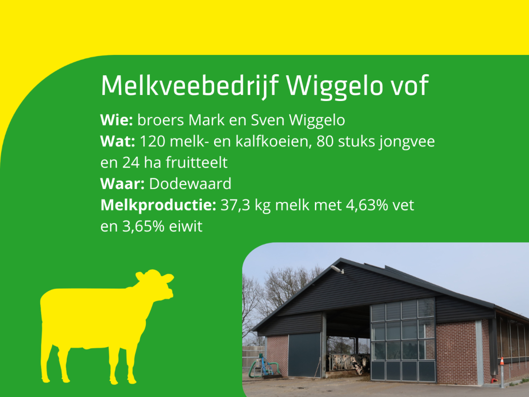 Bedrijfsgegevens Melkveebedrijf Wiggelo VOF