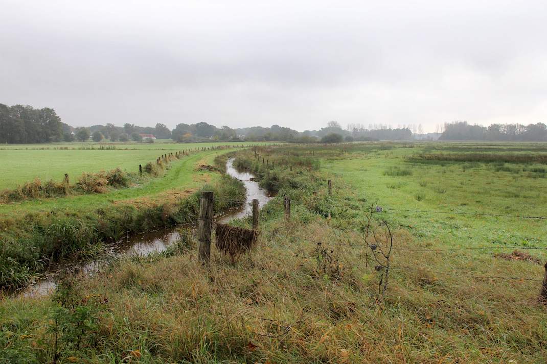 De Bleijenbeek in Limburg