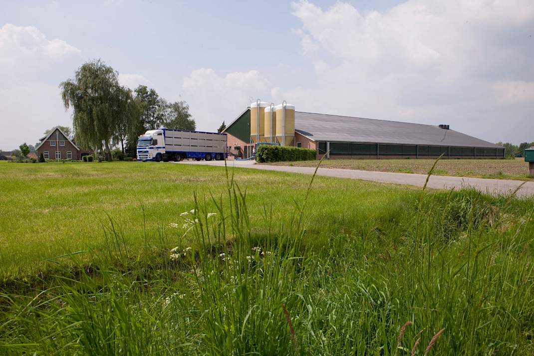 Varkensstal