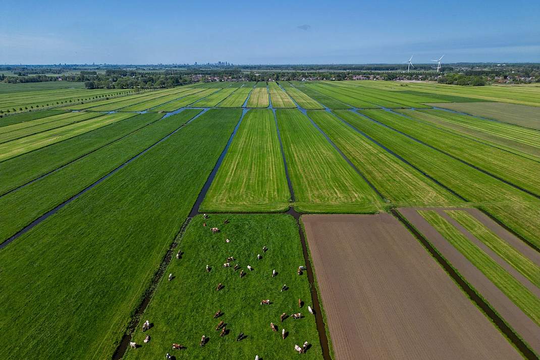 Weilanden in Nederland