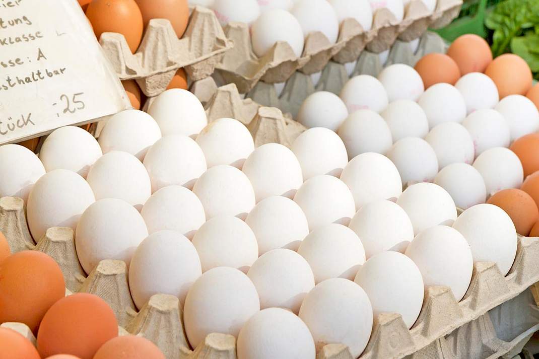 Eieren in een eierdoos