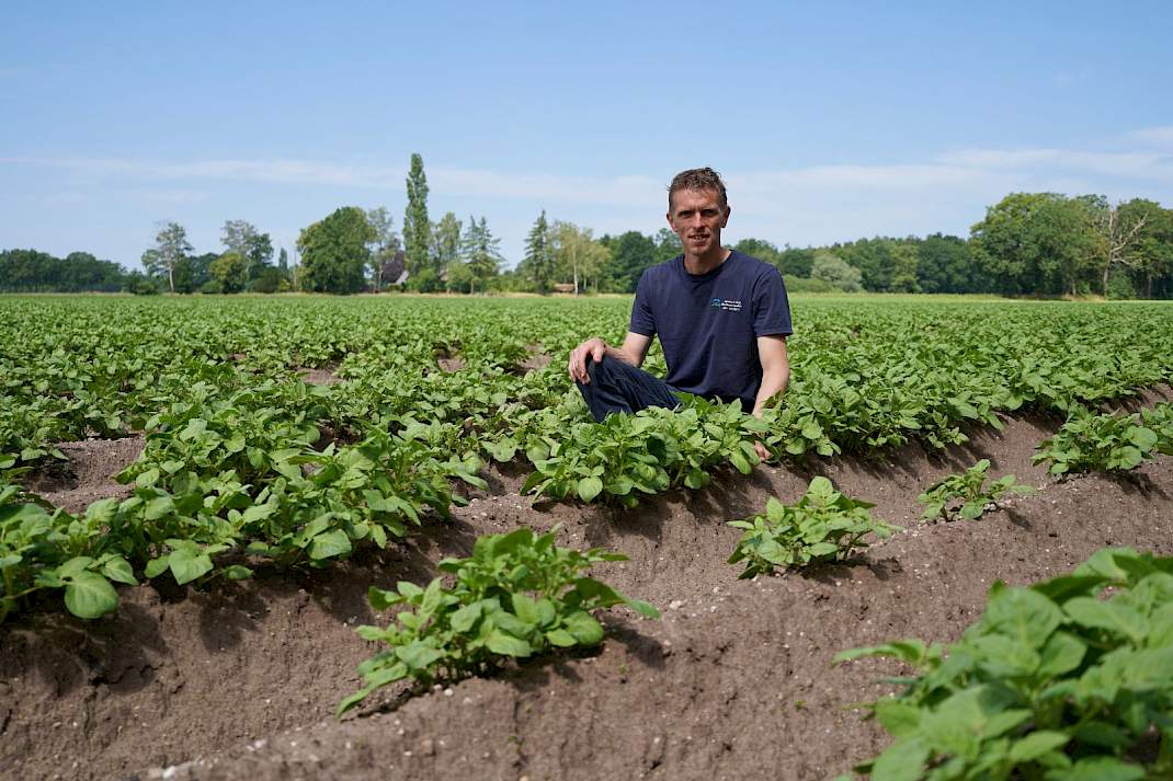 Ruud Vossenbeld in perceel aardappels (juni)