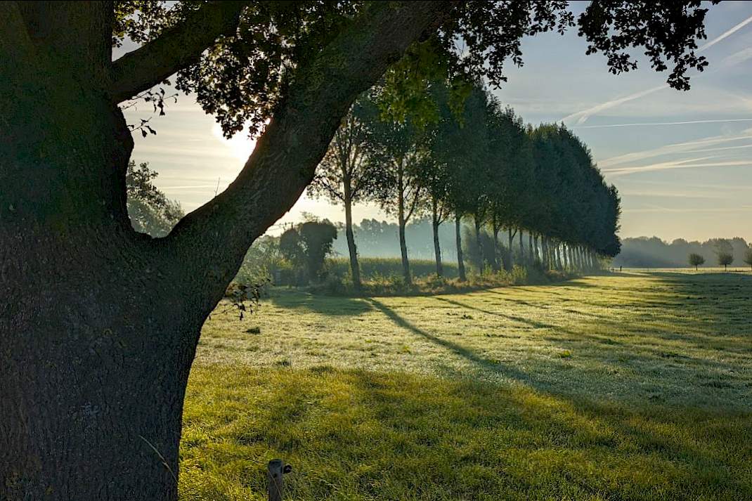Gelders landschap