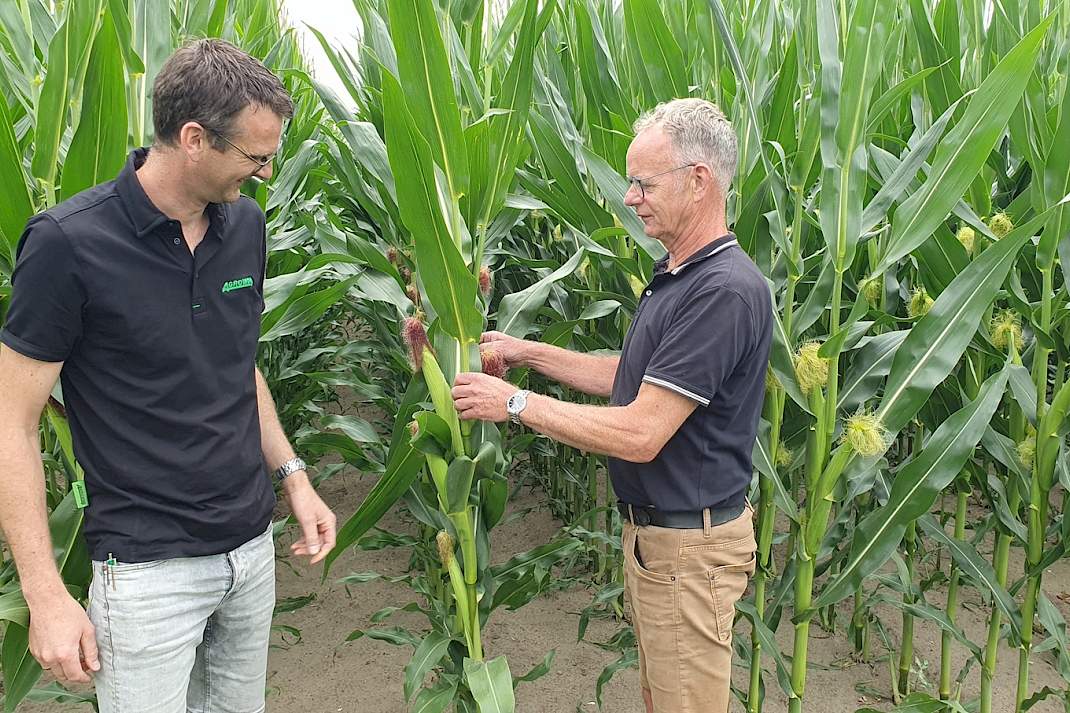Gerben en Henk Houwers bij snijmaïs