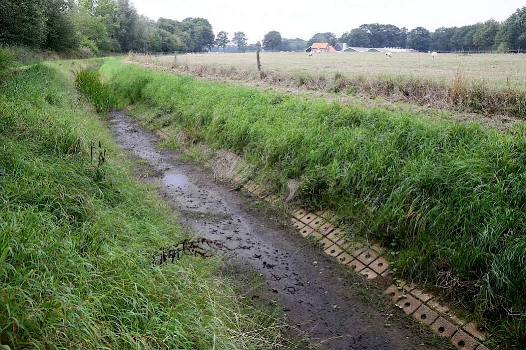 Een droogstaande sloot