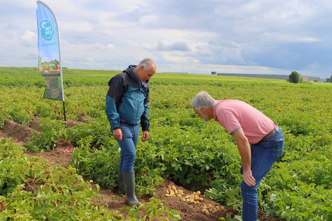 PlanetProof Geert Kessel aardappelen robuuste rassen veld
