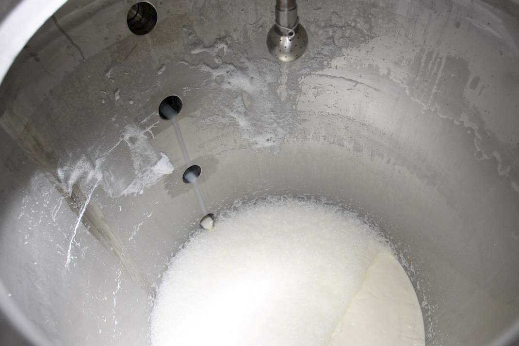 Zuivel verwerken in zuivelfabriek