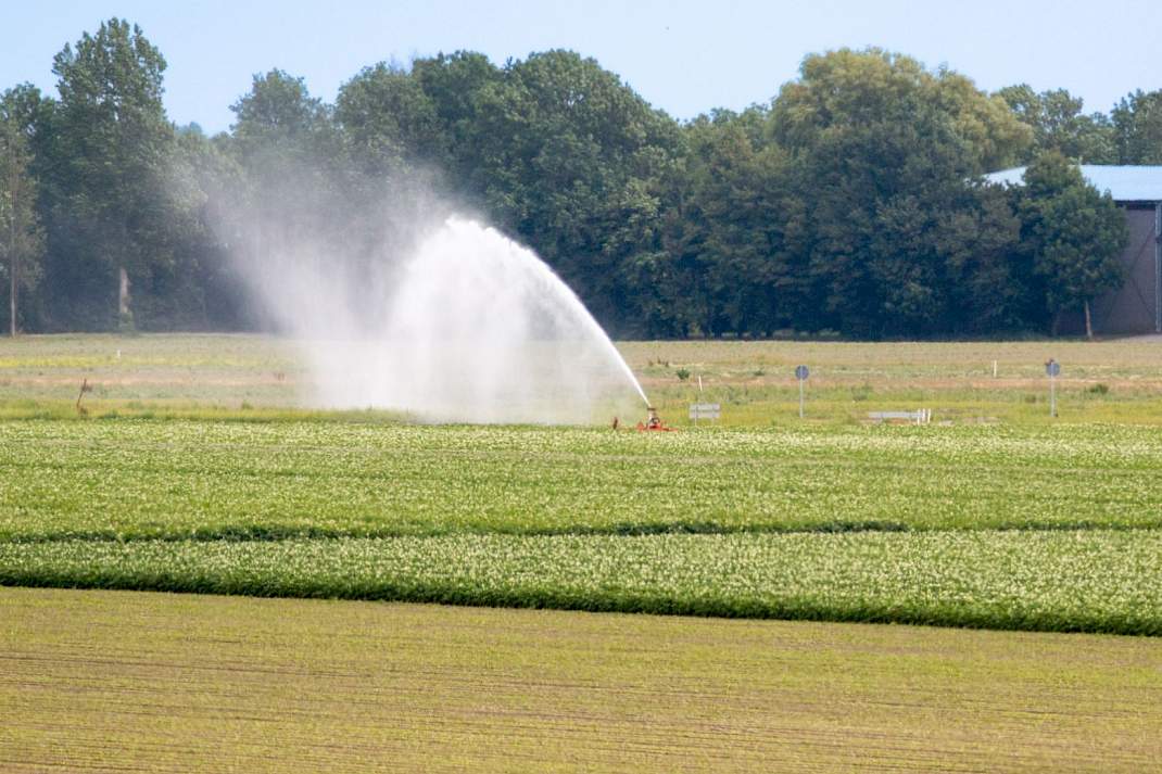 Beregening vanwege droogte
