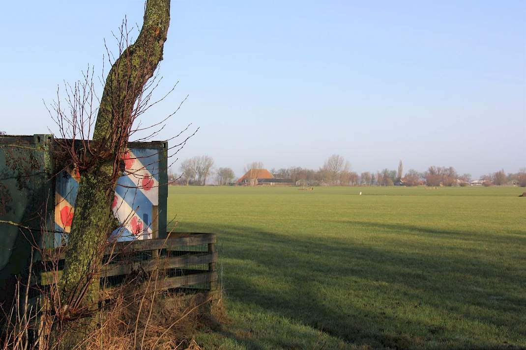 Friese vlag aan de rand van een weiland