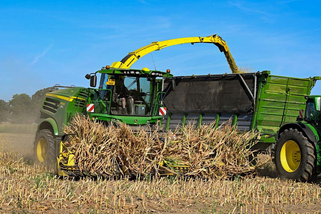 Een hakselaar die mais hakselt en in een silagewagen spuit.
