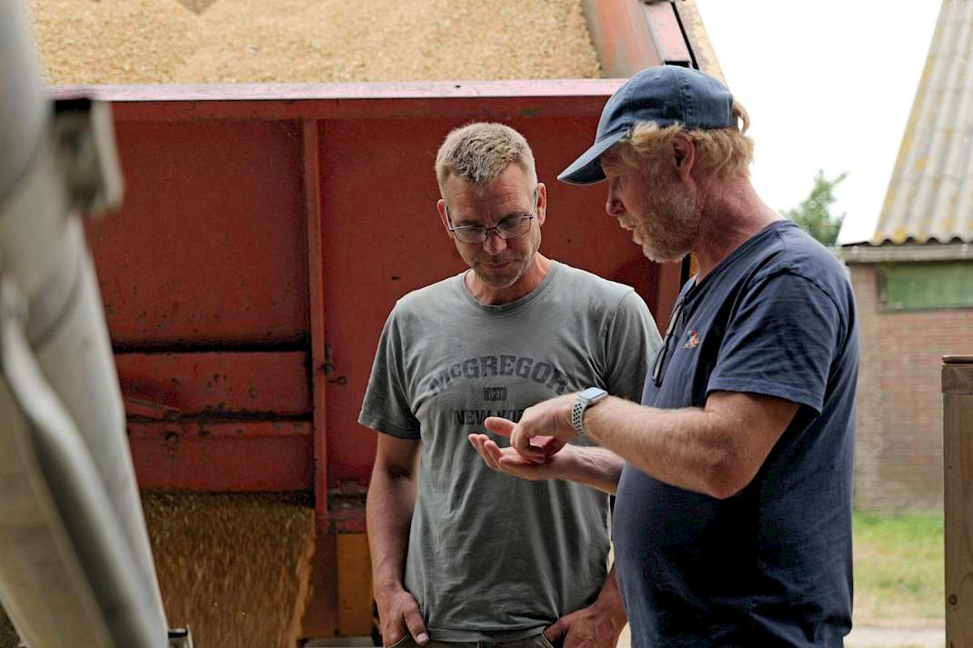 Graanbroeders