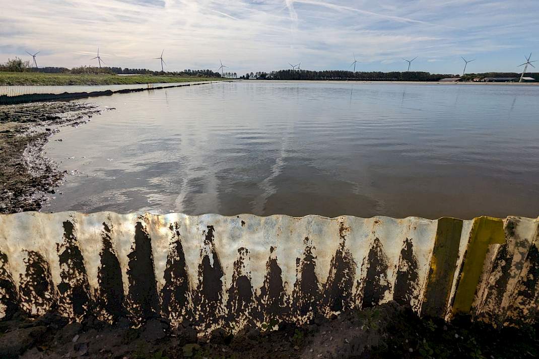 Inundatie aaltjes Noord-Holland perceel onderwater
