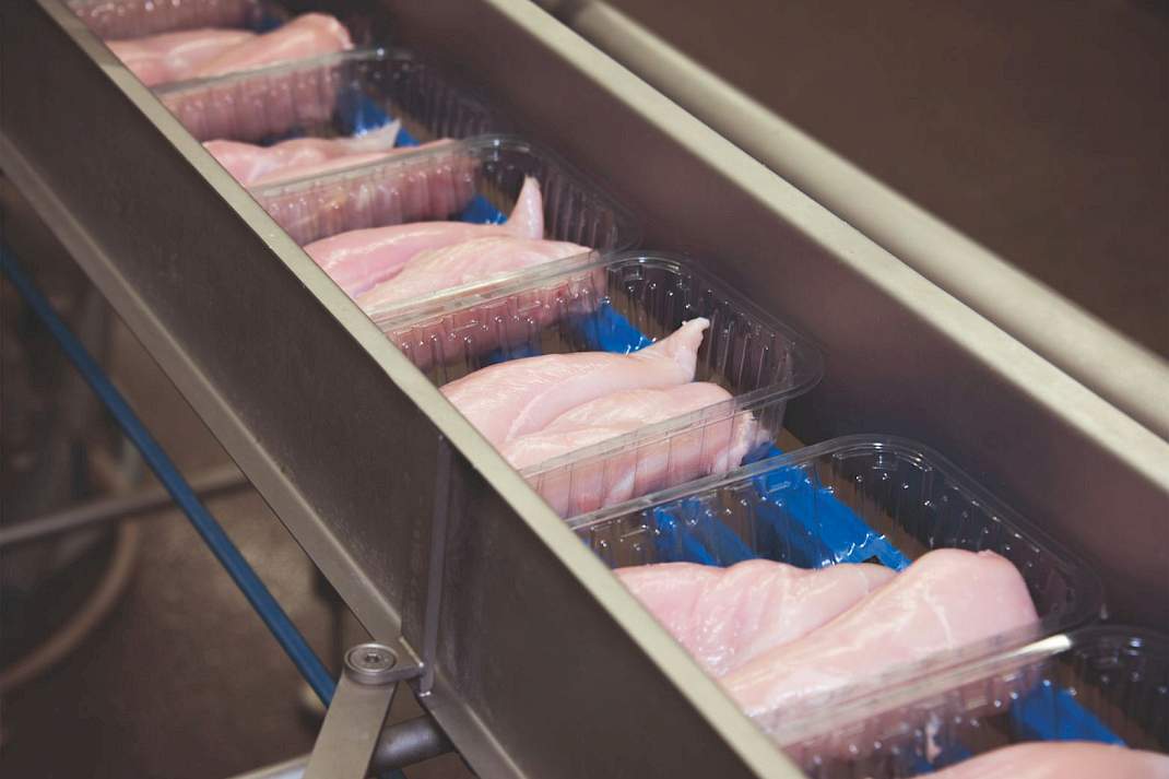 Bakjes kipfilet op de lopende band
