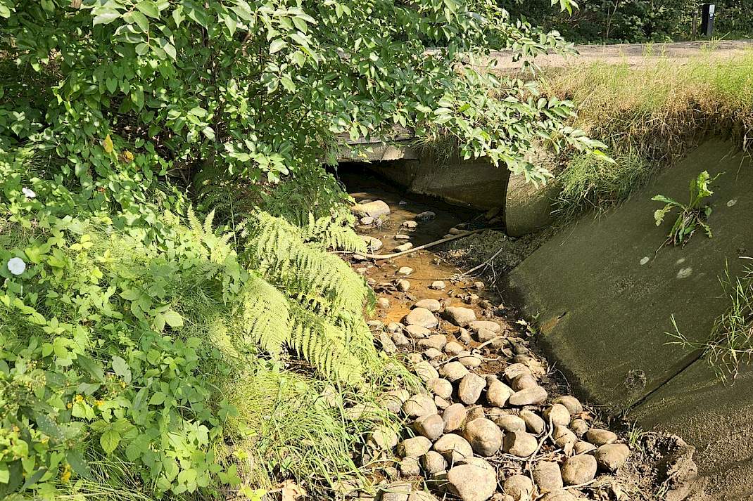 Een droge beek nabij Putten.