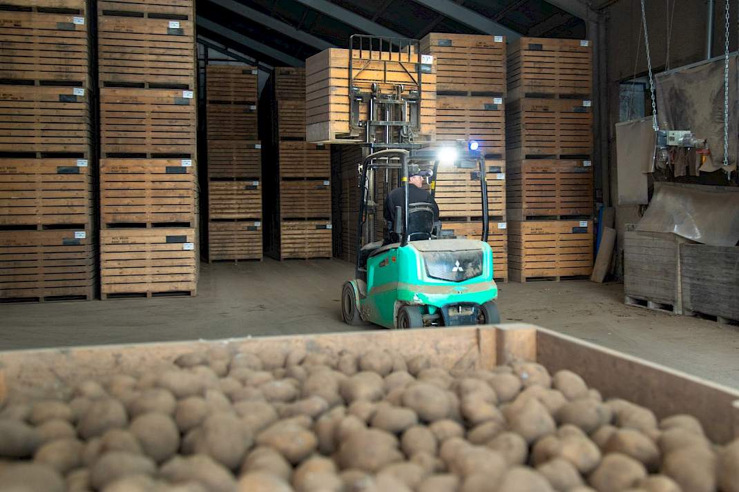 Kuubskisten aardappelen