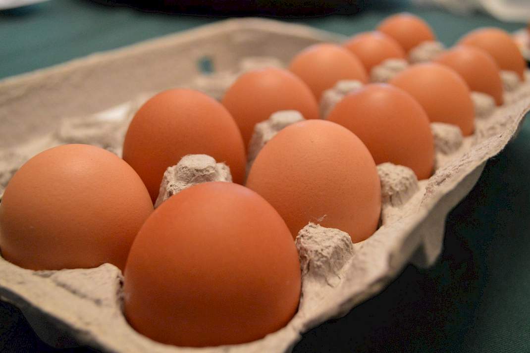 eieren in een eierdoosje