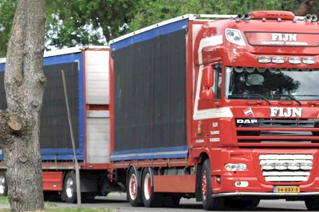 Pluimvee op transport