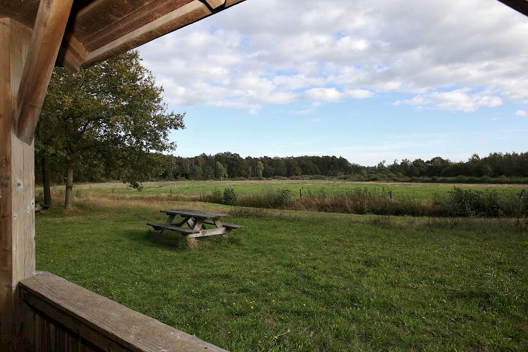 Natuurgebied Vragenderveen in Gelderland
