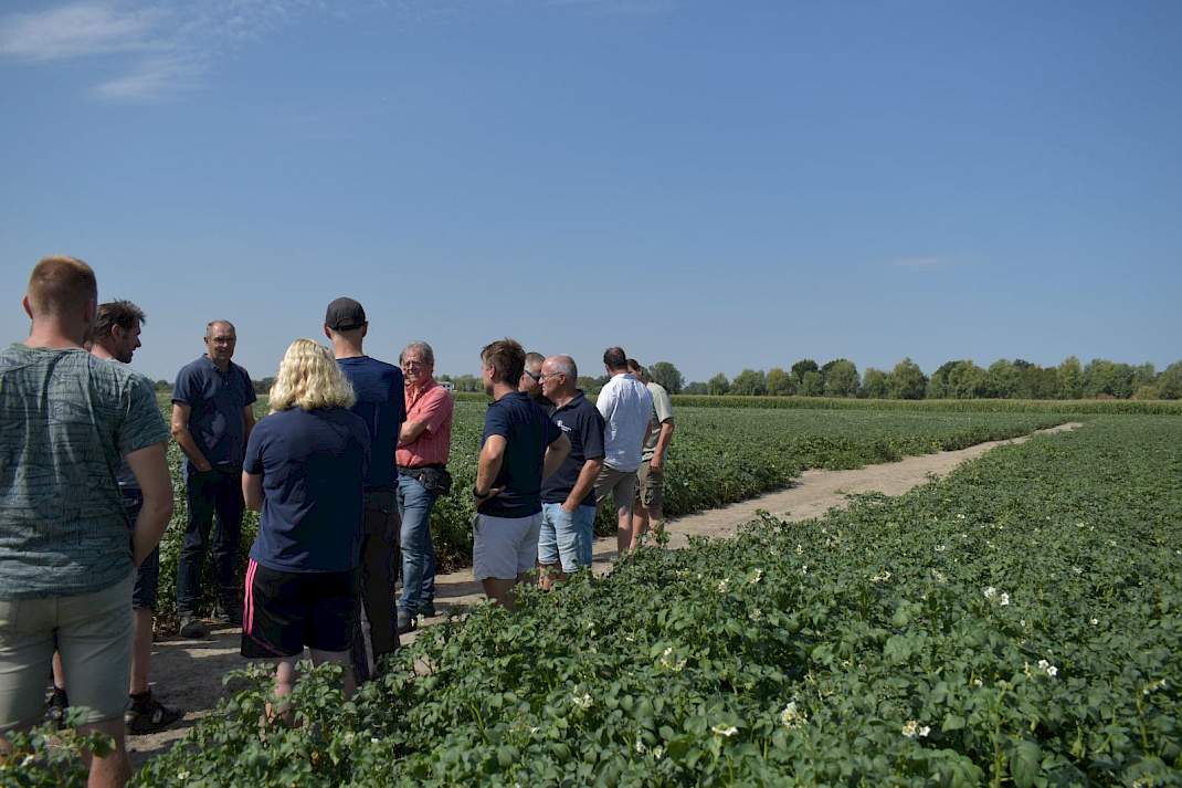 Melkveehouders en akkerbouwers op een perceel aardappelen in Hengstdijk.